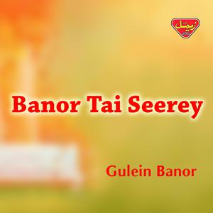 Album Banor Tai Seerey from Gulein Banor