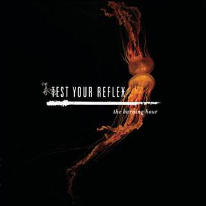 收聽Test Your Reflex的This Year (If We Fall in Love)歌詞歌曲