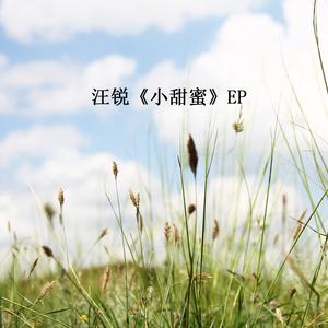 Listen to 小甜蜜 song with lyrics from 汪锐