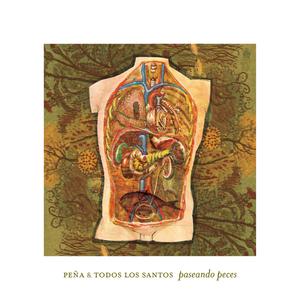 收聽Peña y Todos Los Santos的Marcy歌詞歌曲