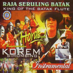 收听Korem Sihombing的Sulaman Barat (Instrumental)歌词歌曲