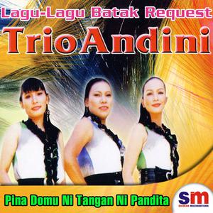 Album Lagu-Lagu Batak Request oleh Trio Andini