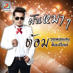 ดาวน์โหลดและฟังเพลง ฝันหมาๆ พร้อมเนื้อเพลงจาก ต้อม วงทอแสง ท็อปไลน์