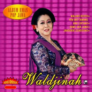 Dengarkan Rujak Uleg lagu dari Waldjinah dengan lirik