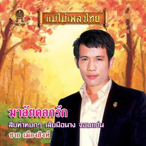 ดาวน์โหลดและฟังเพลง ขวัญใจวัยรุ่น พร้อมเนื้อเพลงจาก ชาย เมืองสิงห์