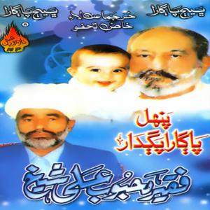 收听Mehboob Ali Sheikh的Walail Wara War Sohnra歌词歌曲