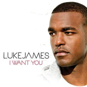 收聽Luke James的I Want You歌詞歌曲