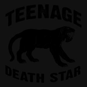 ดาวน์โหลดและฟังเพลง The Death of Disco Rabbit พร้อมเนื้อเพลงจาก Teenage Death Star