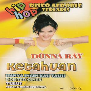 Album Disco Aerobic Terlaris from Donna Ray