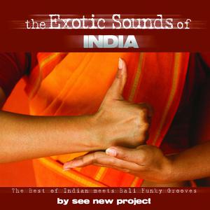 See New Project的專輯The Exotic Sounds of India