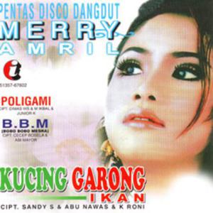 Pentol Korek Lirik  Muat turun Pentol Korek u0026 Dengar MP3 Online 