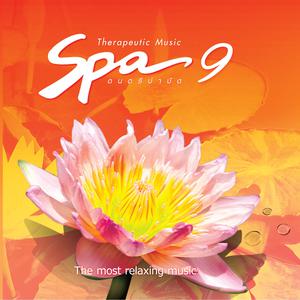 Ocean Media的专辑Spa Music, Vol. 9