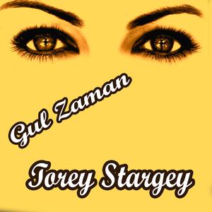 Listen to Sherine Bibi Durkhanai song with lyrics from Gul Zaman