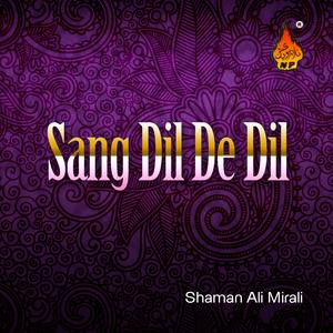 Listen to Khoobsorat Aj Sharabi Sham song with lyrics from Shaman Ali Mirali