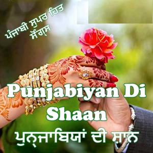 ดาวน์โหลดและฟังเพลง Punjabiyan Di Shaan พร้อมเนื้อเพลงจาก Anupama