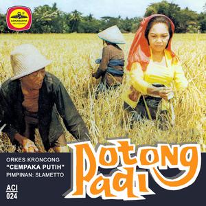 Dengarkan lagu Kopi Jae nyanyian S Harni dengan lirik