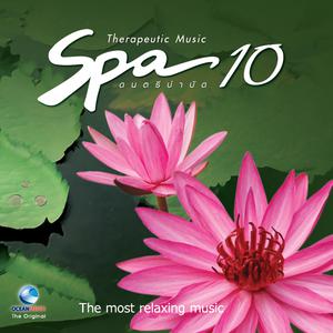 Album Spa Music, Vol. 10: ดนตรีบำบัด oleh ชาญชัย ศรีทองแจ้ง