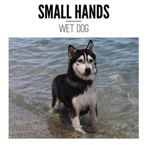 Listen to Clasped Hands, Timid Hearts song with lyrics from Small Hands