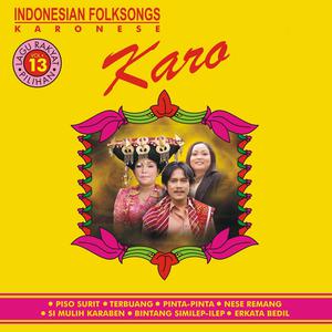 Indonesian Folksongs, Vol. 13: Karo dari Sri Malem Br. Bangun