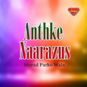 Murad Parko Wala的專輯Anthke Naarazus