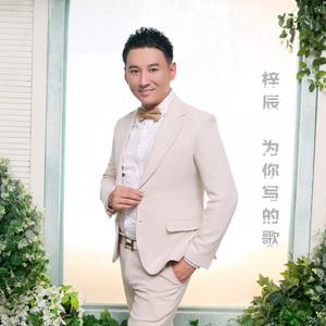 ดาวน์โหลดและฟังเพลง 没有人替你坚强 พร้อมเนื้อเพลงจาก 梓辰