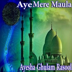 收聽Ayesha Ghulam Rasool的Rahy Jate Hain Yeh Arman歌詞歌曲