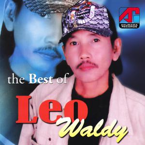 The Best of Leo Waldy