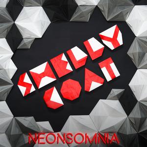 ดาวน์โหลดและฟังเพลง Simple Past พร้อมเนื้อเพลงจาก Shellycoat