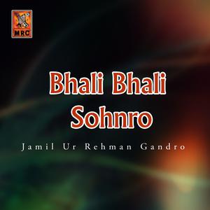 收听Jamil Ur Rehman Gandro的Piyare Nabi歌词歌曲