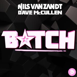 Album Bitch from Dave McCullen