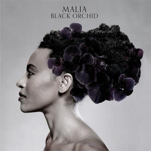 ดาวน์โหลดและฟังเพลง Marriage Is For Old Folks พร้อมเนื้อเพลงจาก Malia