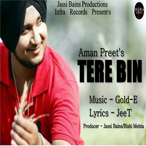 Listen to Tere Bin song with lyrics from Aman Preet
