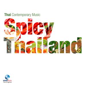 Album Spicy Thailand oleh ชัยยุทธ โตสง่า