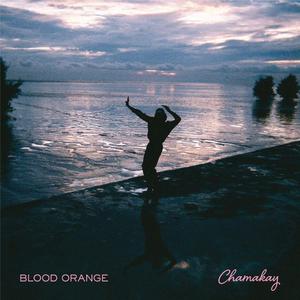 ดาวน์โหลดและฟังเพลง Chamakay พร้อมเนื้อเพลงจาก Blood Orange
