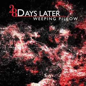 ดาวน์โหลดและฟังเพลง 28 Days Later พร้อมเนื้อเพลงจาก Weeping Pillow