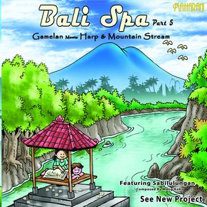 See New Project的專輯Bali Spa, Pt. 5: Gamelan Meets Harp & Mountain Stream