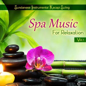 Spa Music for Relaxation, Vol. 1 dari Endang Sukandar