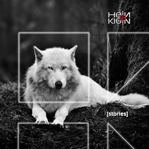 收聽HEIN+KLEIN的Stories (Deeper Clubmix)歌詞歌曲