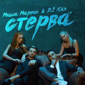 Listen to Стерва song with lyrics from DJ Kan