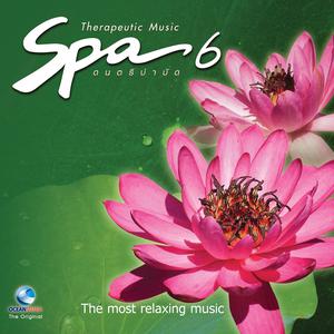 ชาตรี สุวรรณมณี的專輯Spa Music ดนตรีบำบัด, Vol. 3
