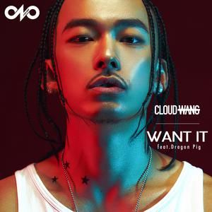 Listen to WANT IT (伴奏) song with lyrics from CLOUD WANG