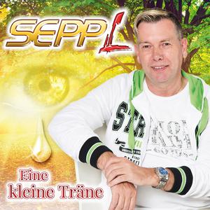ดาวน์โหลดและฟังเพลง Du bist mein Joker พร้อมเนื้อเพลงจาก Sepp L.