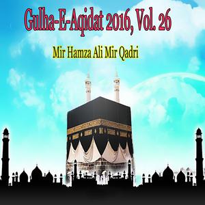 收听Mir Hamza Ali Mir Qadri的Sahaba Zindabad歌词歌曲