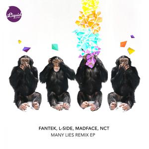 Listen to Many Lies (VIP) song with lyrics from Madface