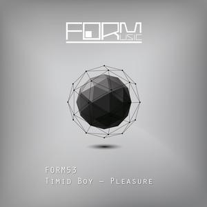 Listen to Pleasure (Soliman Remix) song with lyrics from Timid Boy