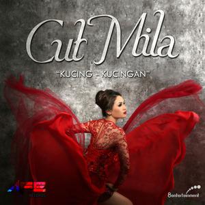 Listen to Kucing Kucingan song with lyrics from Cut Mila