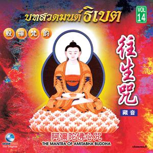 Listen to ธิเบตชุด, Vol. 14: The Mantra of Amitabha Buddha song with lyrics from Ocean Media