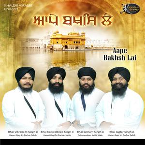 Dengarkan Tu Karta Sachiar Maida Sai lagu dari Bhai Satnam Singh Ji dengan lirik
