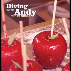 ดาวน์โหลดและฟังเพลง Sugar Sugar พร้อมเนื้อเพลงจาก Diving with Andy
