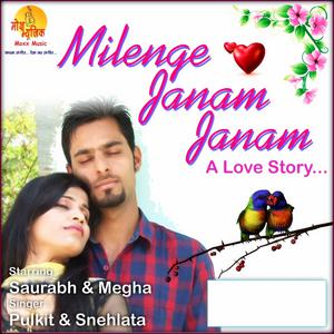 ดาวน์โหลดและฟังเพลง Milenge Janam Janam พร้อมเนื้อเพลงจาก Pulkit